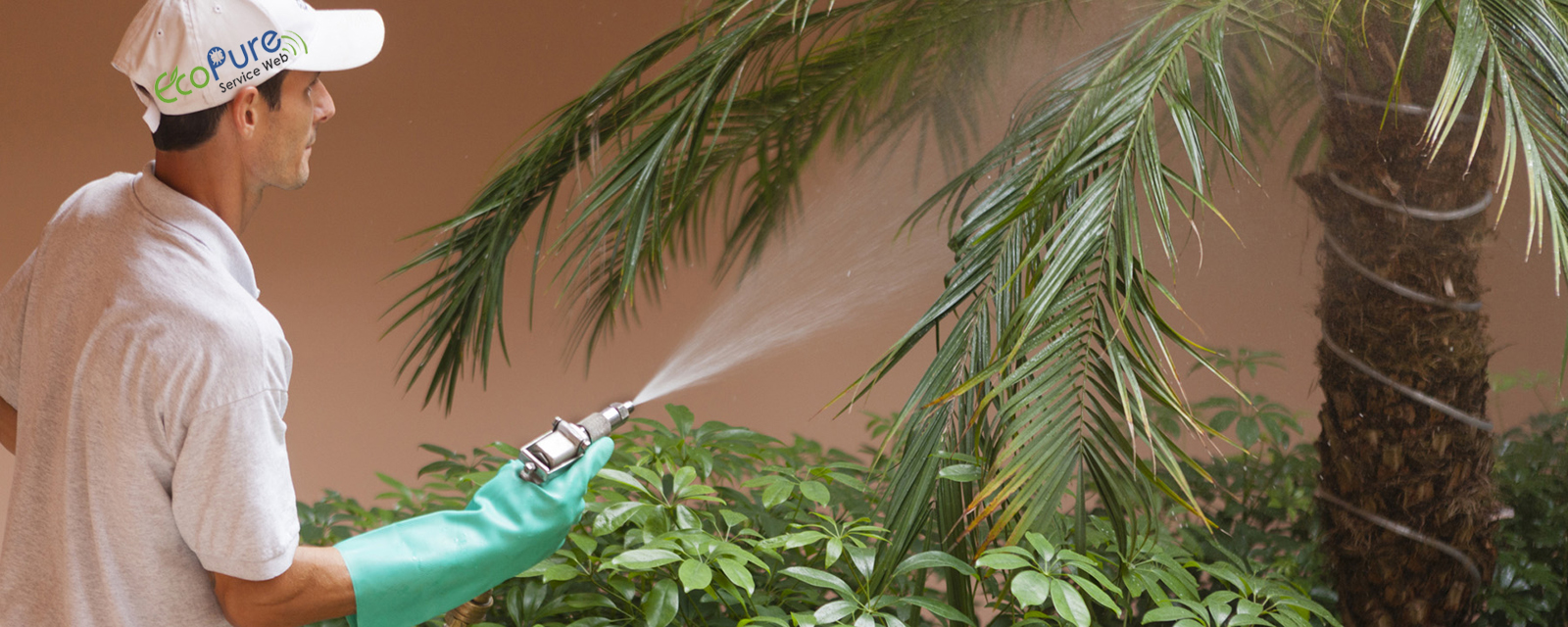 pesticides1